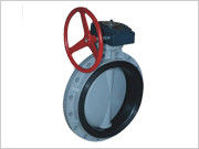 Worm gear type butterfly valve