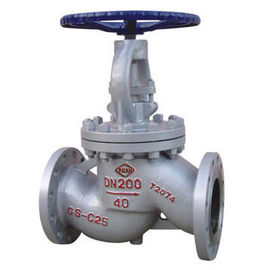 DIN Globe Valve