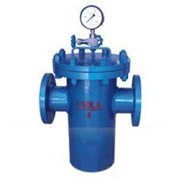 Basket Type Strainer